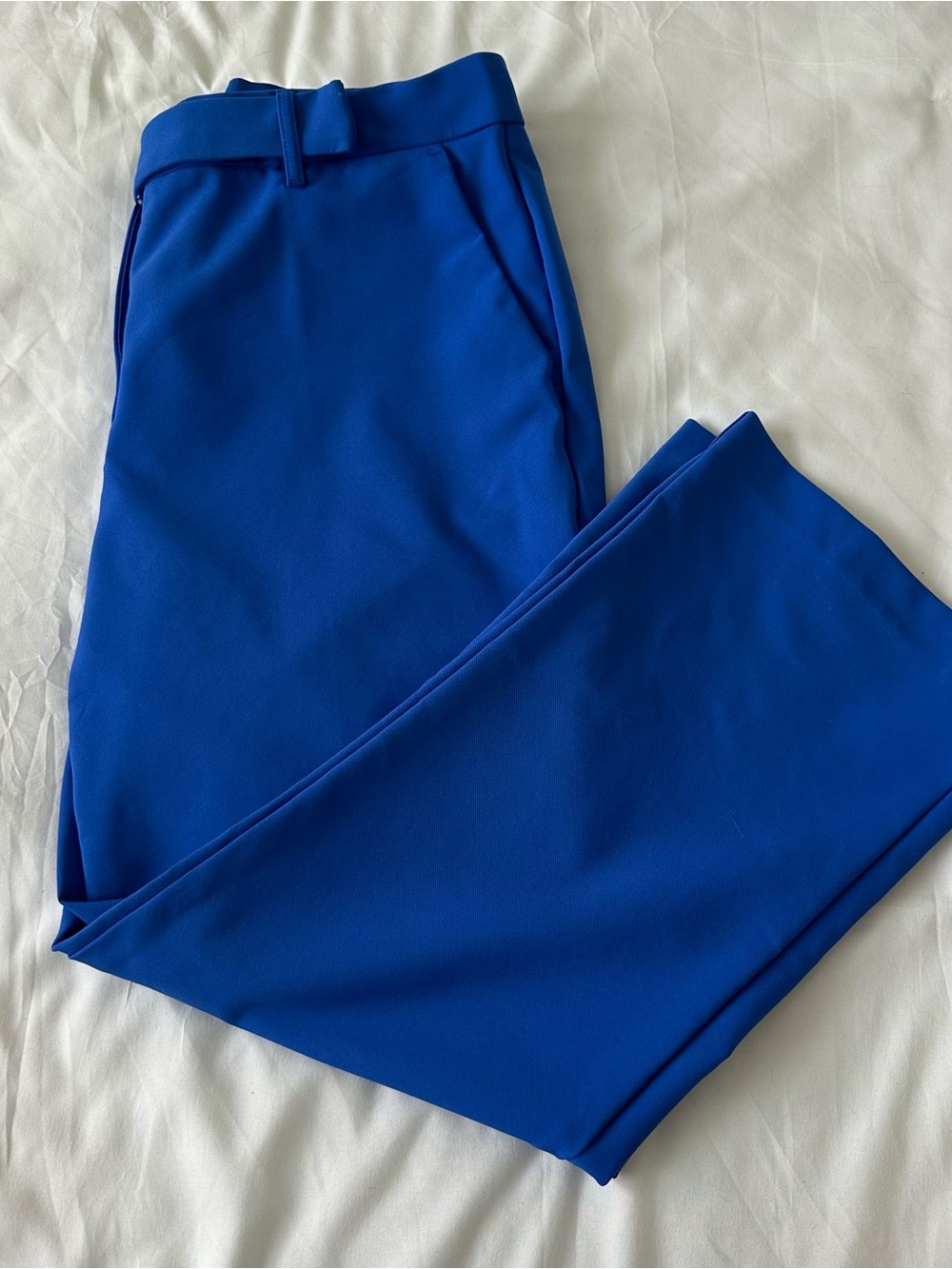 Women's Royal Blue Tailored Pants